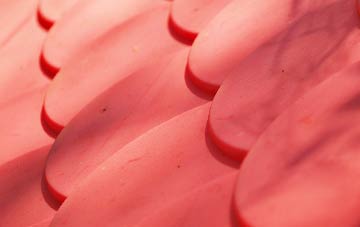 Cheapside plastic roof costs