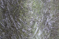 Cheapside fibreglass roof work